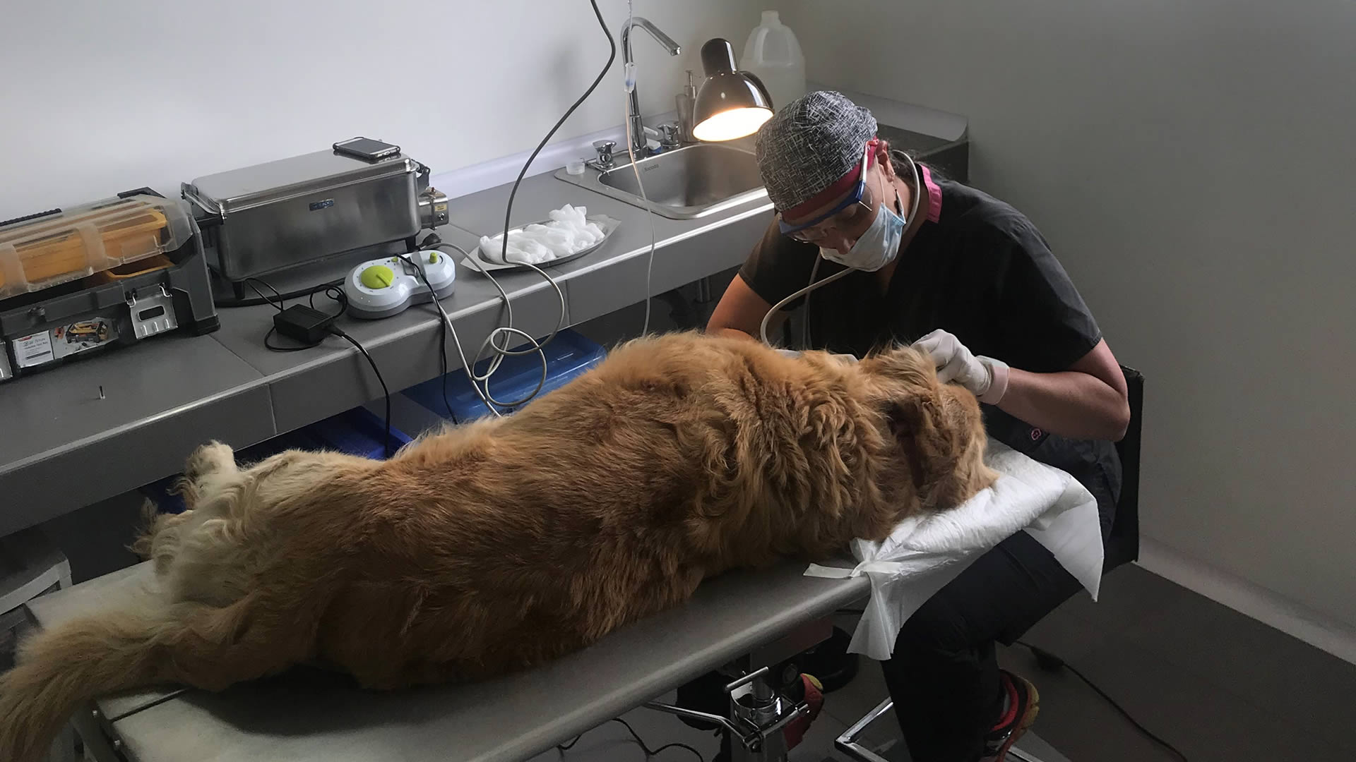 3 servicios medicos